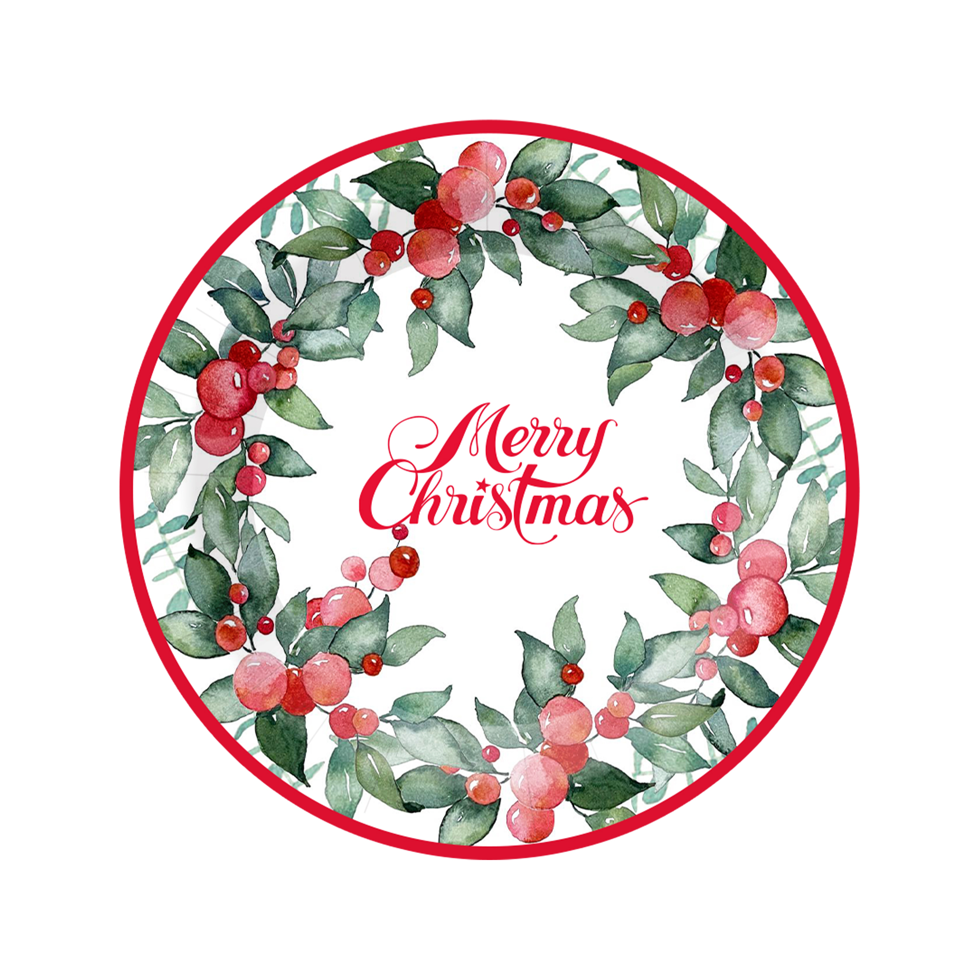 จานขนาด 9 นิ้ว -10