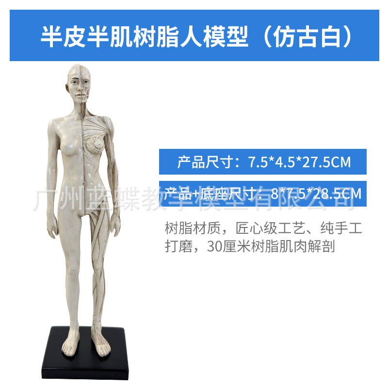 30CM Resin - Antique White - Female