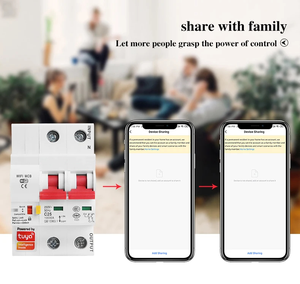 Fabrika akıllı ev otomasyon yüksek teknoloji cihazı 63 Amp 2-Pole ESP8685 Wifi devre kesici aydınlatma için elektrik anahtarı - Product Image 3