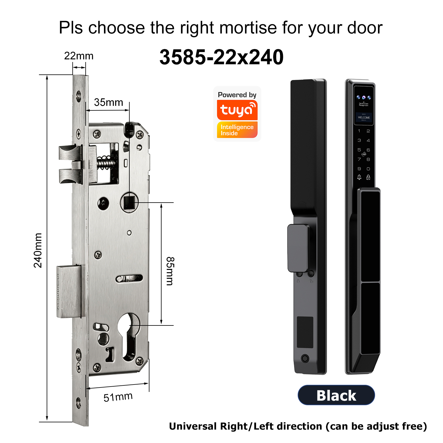 Z5 with 3585 Swing Single-point Mortise(22x240mm)