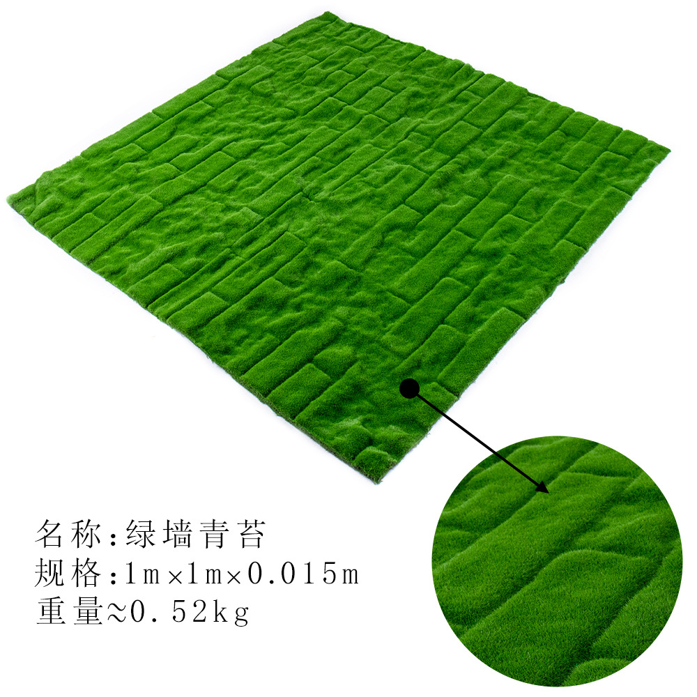Mousse murale verte