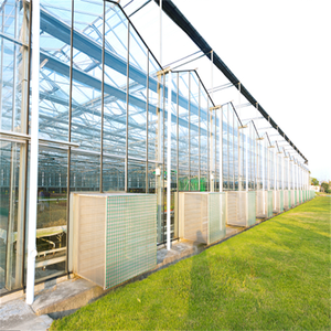 Invernadero de vidrio con sistema de riego, Sistema Automático resistente al viento y duradero, tipo venlo para verduras, multispan - Product Image 2