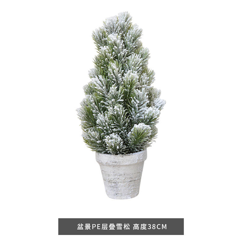 D bonsaï laminé pe petit cèdre