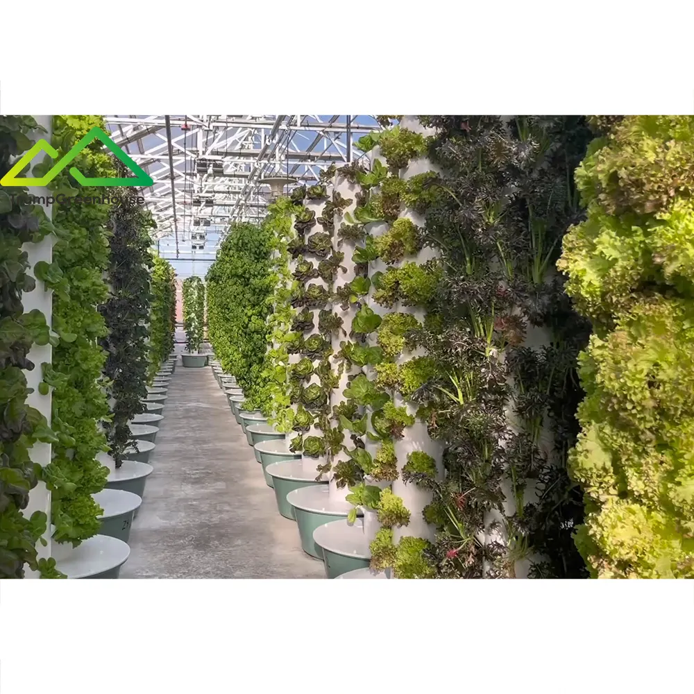 indoor greenhouse hydroponics equipment vertical farming vegetable agricultural vertical hydroponic system