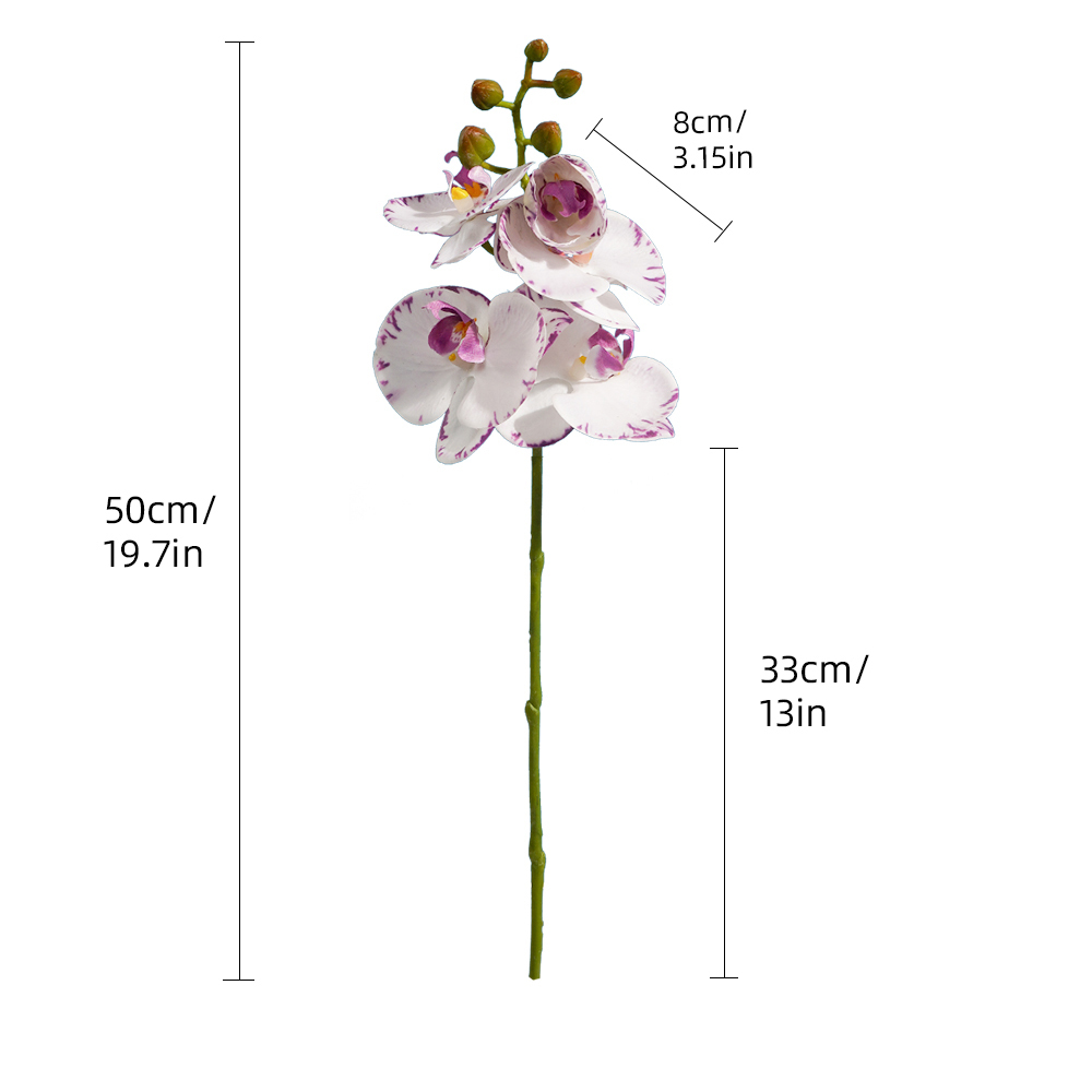 Blanc violet