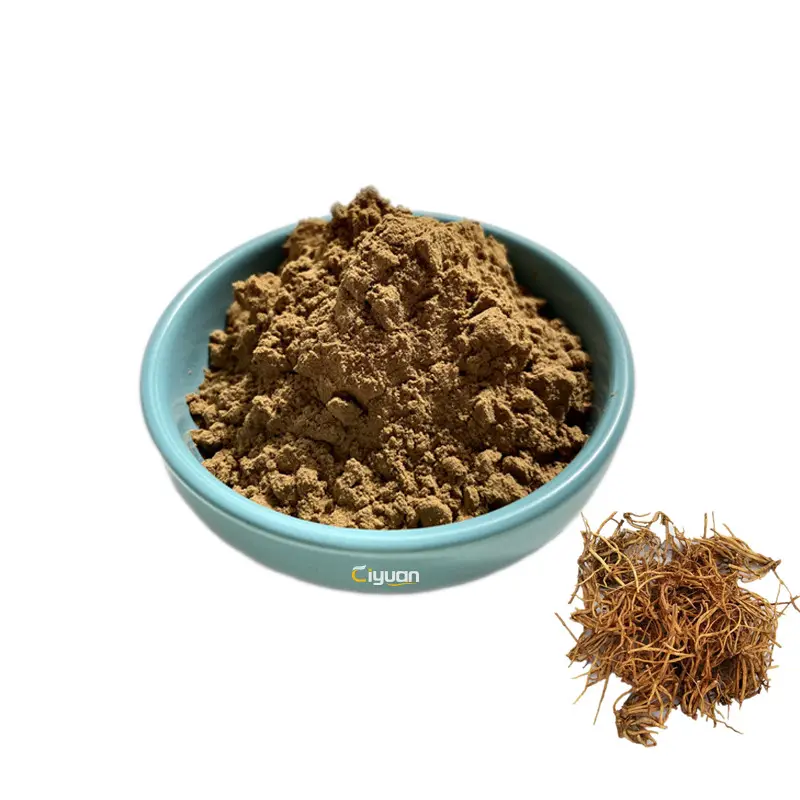 Chinese Herbal Extract Chinese Gentiana Lutea Root Extract 10:1 Wholesale Gentian Herb Powder