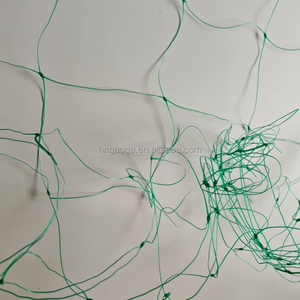 High Quality pp Cucumber <strong>Trellis</strong> <strong>Netting</strong> Climbing <strong>Net</strong> for Grow Tent Cucumber <strong>Tomato</strong> Pea Bean Growing - Product Image 1