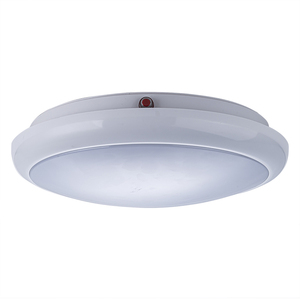 DE-901 16W LED Emergency Ceiling Light, 220-240V AC, 3 Hours Backup (Customizable) - Product Image 2