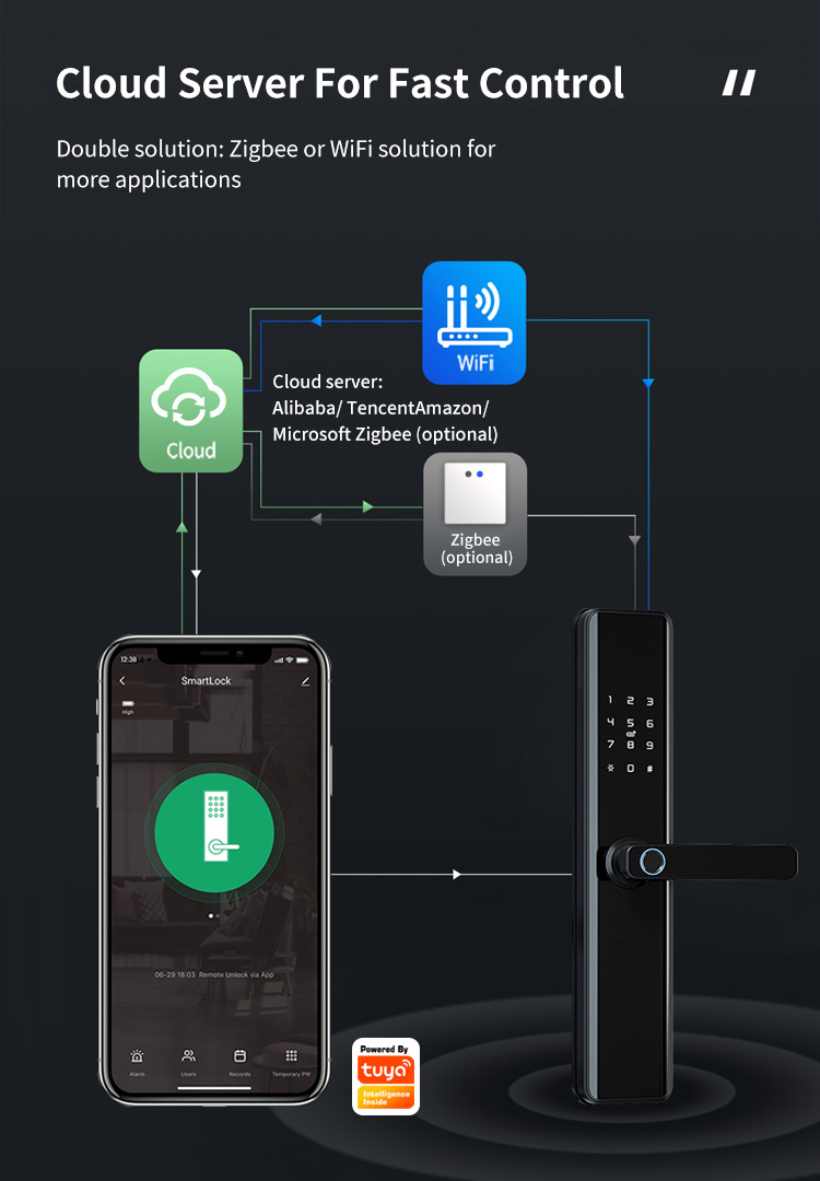 Economic Keyless Handle Fingerprint Door Lock with Wifi Tuya APP