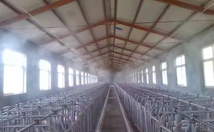 Chuyên nghiệp sương mù ngoài trời làm mát sương mù mát 70bar phun hệ thống phun sương áp lực cao với máy bơm - Product Image 4