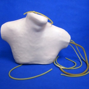 CVC Thân Trung Tâm Tĩnh Mạch Đặt Nội Khí Quản Mannequin Mô Hình - Product Image 1