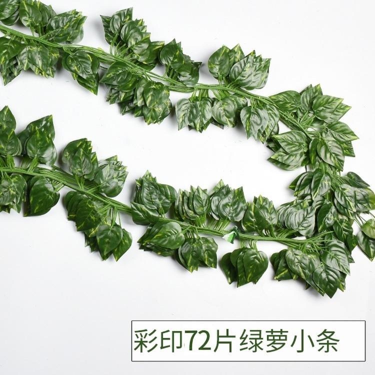 72 petites feuilles de lierre vert et 12 tiges
