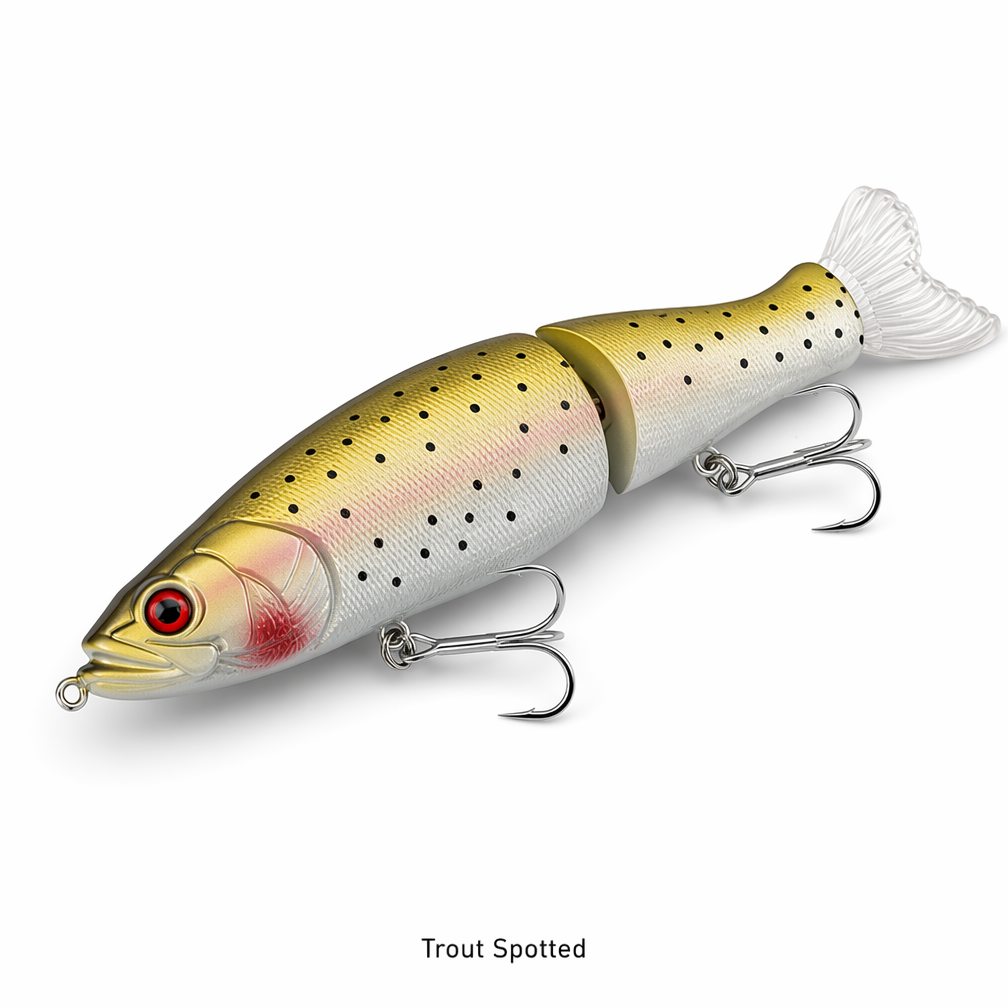 Trout Spotted