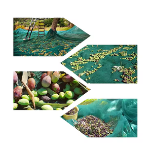 Hot Selling Olive <strong>Net</strong> Greek <strong>Markets</strong> Triangular Mesh Surface Plastic <strong>Net</strong> Green HDPE Orchard Olive Harvest <strong>Net</strong> - Product Image 3