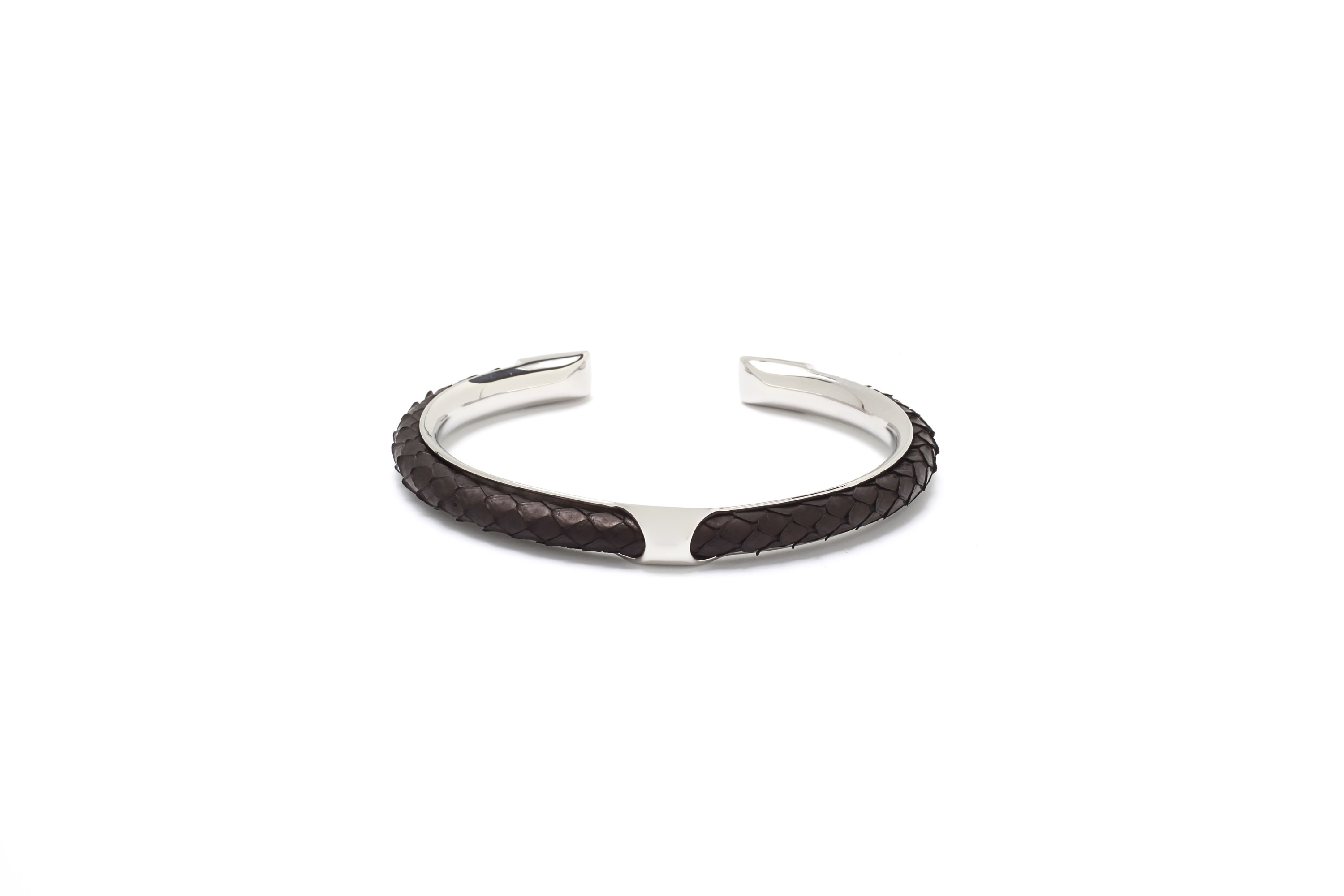 Python noir avec argent