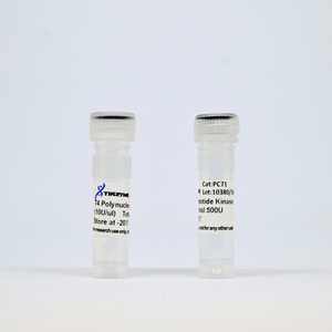 Tinzyme <strong>T4</strong> Polynucleotide Kinase for 5' End Labeling Phosphorylation of Oligonucleotides DNA RNA - Product Image 2