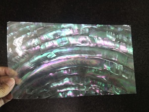 <strong>Flexible</strong> White Mop <strong>Shell</strong>,Moonlight Turbo <strong>Shell</strong> Conch <strong>Shell</strong> Paper Laminate - Product Image 4