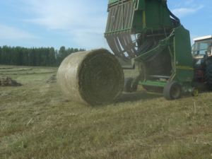 חם למכור 1.23x3000 מ 'בייל נטו בלר אירופה עבור hay baling ואחסון - Product Image 6