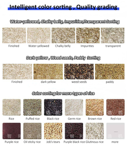 China Factory RGB Color <strong>Sorting</strong> Machine for Rice Soybean Mung Bean High-Precision Multi-Grain Automatic Selection Equipment - Product Image 6