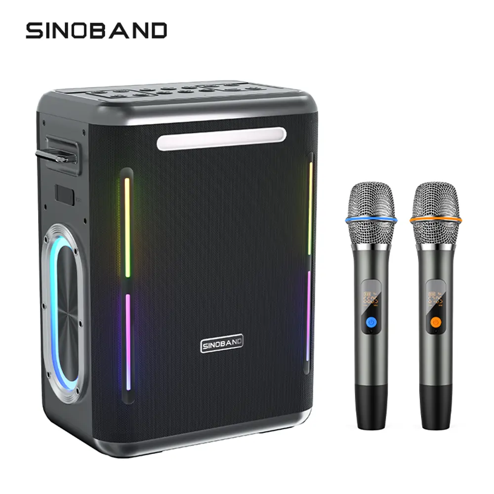 Sistema Audio di alta qualità 300W Surround Super Bass Wireless portatile karaoke/amplificatori/altoparlanti