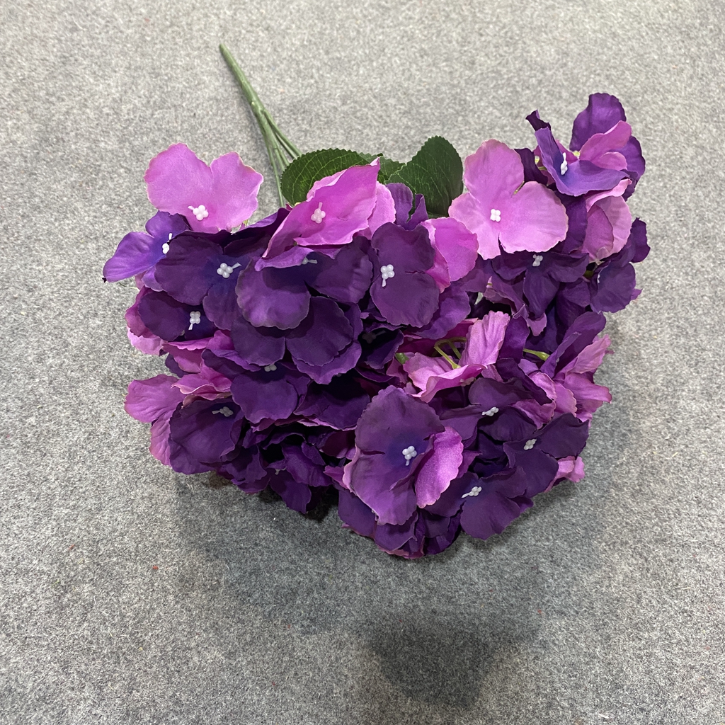 viola 2