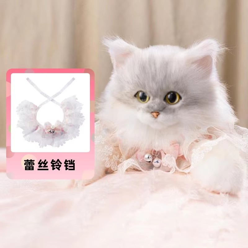 Chinchilla + Collar de campana de encaje