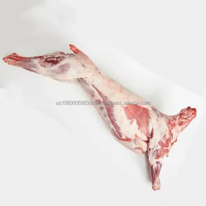 散装羊肉胎体冷冻羊肉胎体销售折扣