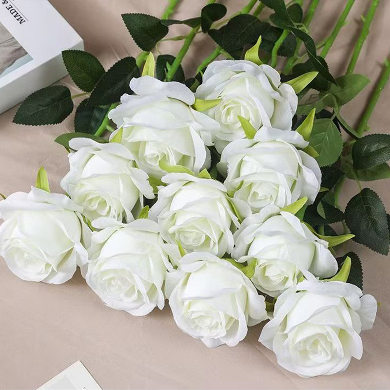 Rose blanche soleil unique