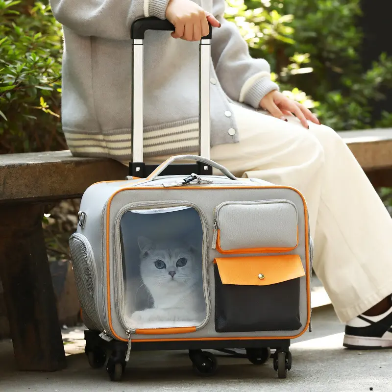 Sac à dos de grande capacité pour chien sac d'extérieur pour animaux de compagnie sac portable en toile pour chat sac de transport pour animaux de compagnie avec poignée télescopique et bandoulière
