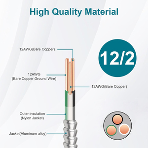 JZD 12/2AWG 250FT filo rivestito in rame puro con armatura in alluminio 12 Gauge 2 conduttori tipo RTS MC Alum cavo con messa a terra - Product Image 1