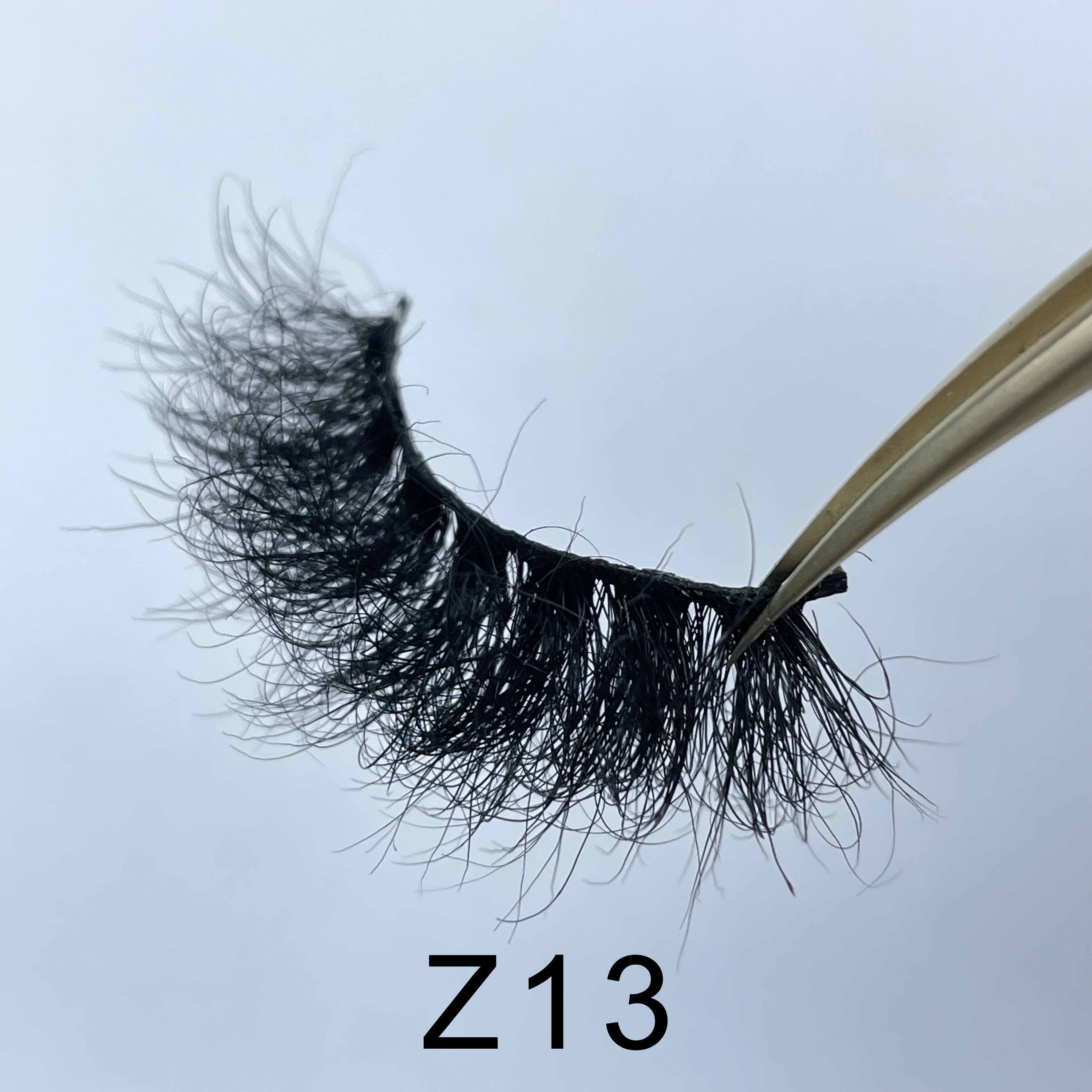 Z13