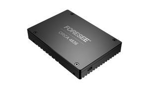 FORESEE ORCA Enterprise NVMe SSD der Serie 4836 für die Erstellung eines leistungs starken Speichers der Enterprise-Klasse - Product Image 2