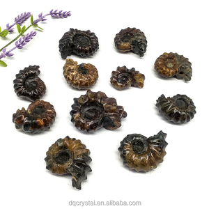 Venta al por mayor de caracolas de amonita natural, colección de fósiles, espécimen fósil de caracola en bruto natural de Madagascar colorido para Decoración - Product Image 5