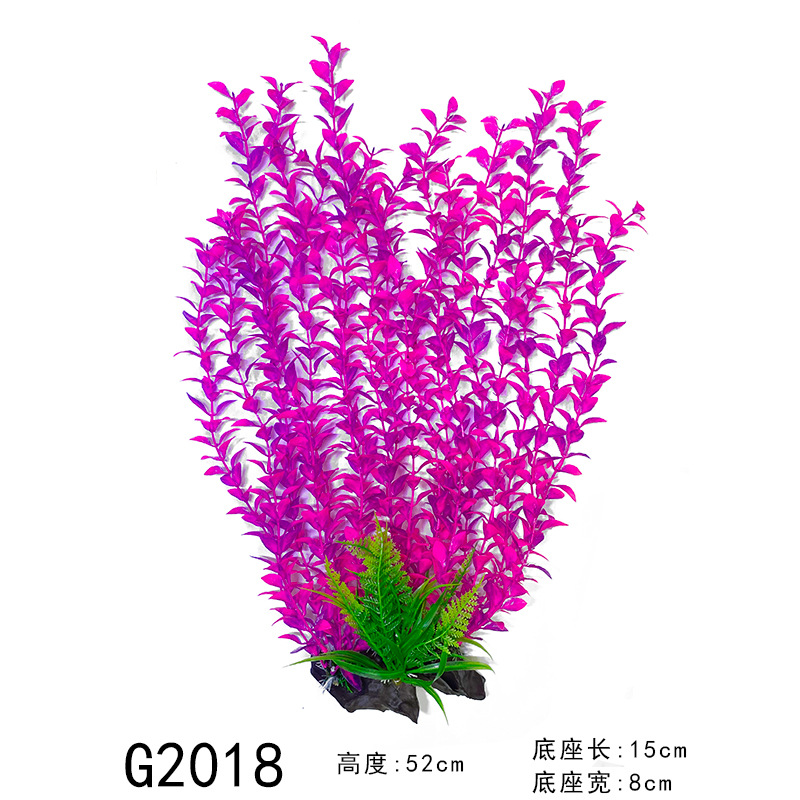 Rose 2