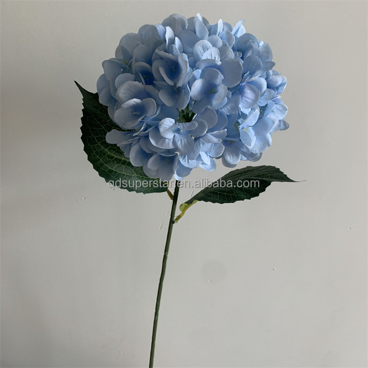 Blu-chiaro