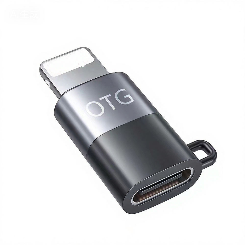 Adaptateur Lightning noir