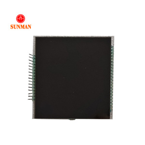 Benutzer definierte Größe-LCD-Bildschirm Benutzer definierter Segment code Bildschirm LCD schwarz groß 6-stellig sieben 7 14 16 monochromes Segment segmentierte LCD-Anzeige