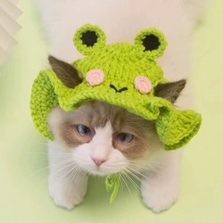 Knitted little frog