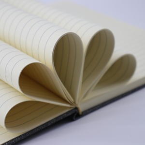 Factory Direct Custom <strong>Notebook</strong> Printing <strong>Notebooks</strong> for School Custom Planner Printing Diary for Girls Diary <strong>Notebook</strong> Note Books - Product Image 5