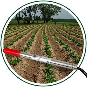 CDT-17B Công Nghiệp Đất PH cảm biến với 0.05ph Độ chính xác IP68 cho thông minh nông nghiệp iốt OEM tùy chỉnh hỗ trợ - Product Image 1