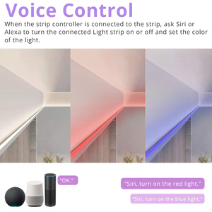 Zemismart için 6 Pin RGB CCT ışık şeridi denetleyicisi ile Homekit Hub Alexa Google ev Tuya Zigbee LED şerit denetleyici - Product Image 2