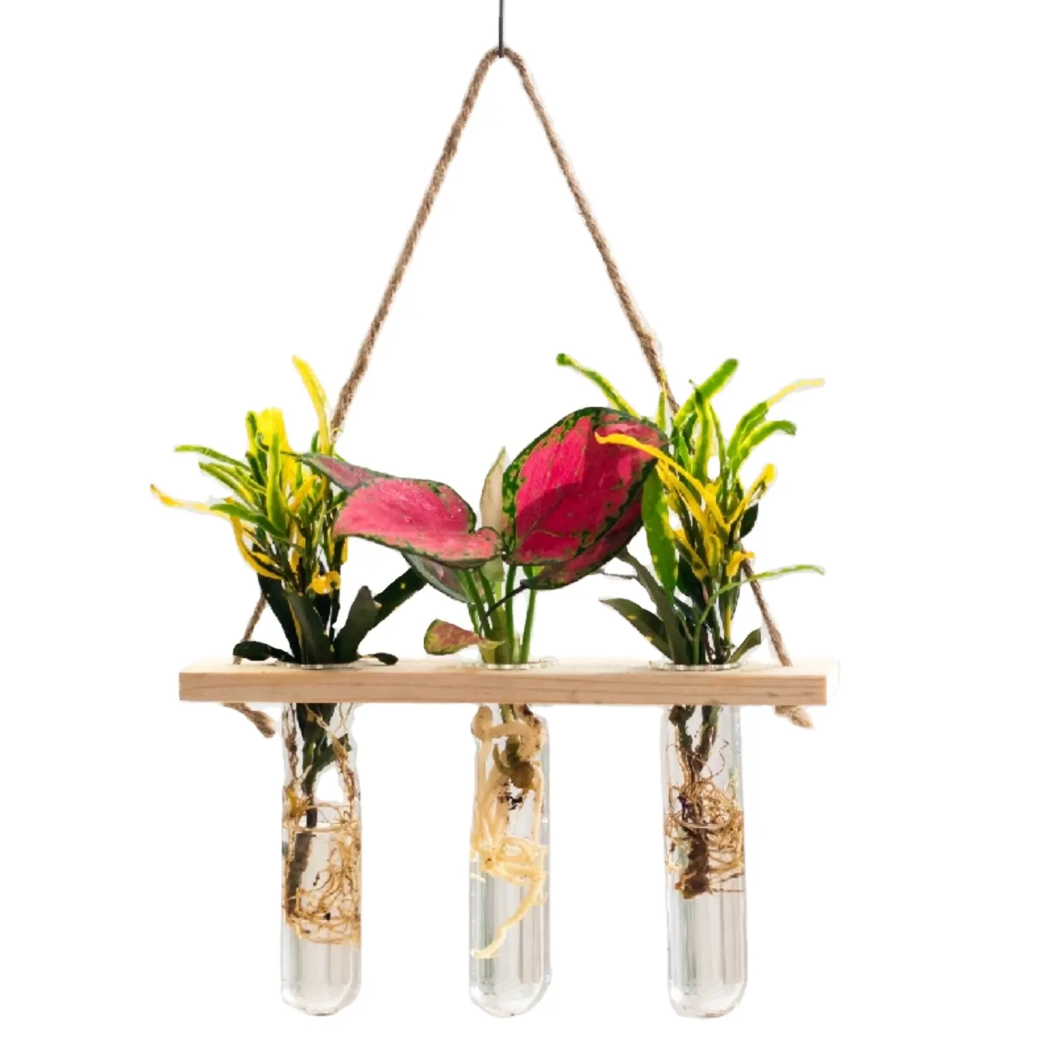 Vendre bien nouveau type de vase en verre rond de style nordique à la mode vase à fleurs hydroponique Mod