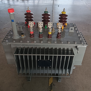 Trasformatori di olio trifase 10kV ingresso 380V uscita 50/60Hz frequenza 400V & 69kV capacità di uscita - Product Image 6