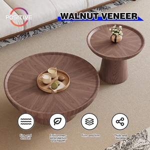 Orta yüzyıl Modern yuvarlak sehpa seti wabi-sabi tarzı oturma odası ev Minimalist ceviz parke sehpa ZEM-526 - Product Image 2