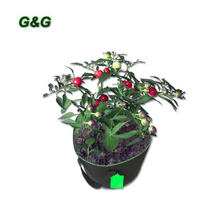 30升再生播种机植物种植袋重型加厚面料带手柄园艺盆，曝气容器，