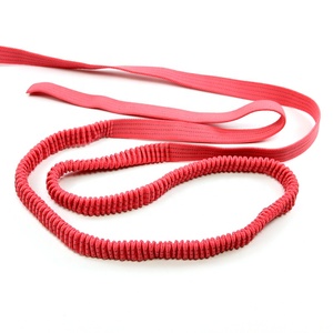 2024 Custom Colorful Polyester <strong>Elastic</strong> Webbing Bungee <strong>Elastic</strong> Band for Dog Pet Lead Leash Polyester <strong>Elastic</strong> Leash - Product Image 5