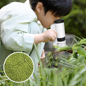 科学学習玩具3 in 1ポータブル折りたたみ式子供用顕微鏡60-200Xハンドヘルドポータブル観察顕微鏡ブラケット子供用 - Product Image 4