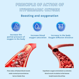 Jizhimei Instrument médical vétérinaire Pet chat chien équipement Cage à oxygène chambre à oxygène hyperbare pour le traitement médical - Product Image 6