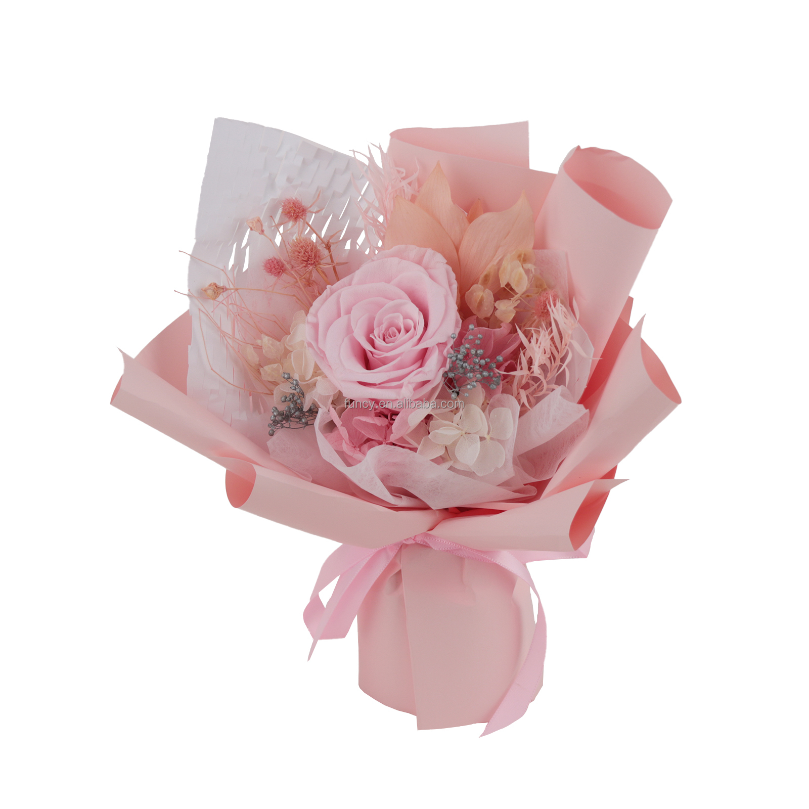Rose 3