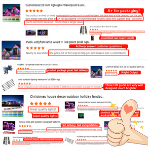 Pixel impermeabile esterno LED luce di controllo per la costruzione del paesaggio luci di natale in PVC Smart Luces De Navidad permanente - Product Image 5